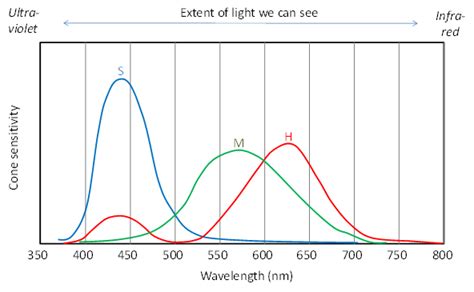 How The Eye Detects Light