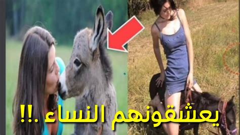 اكثر 5 صفات تعشقها النساء في الحمير Youtube