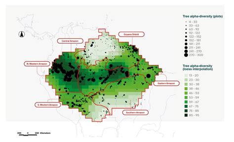 3 Map of tree α-diversity of the Amazon (http://atdn.myspecies.info ...