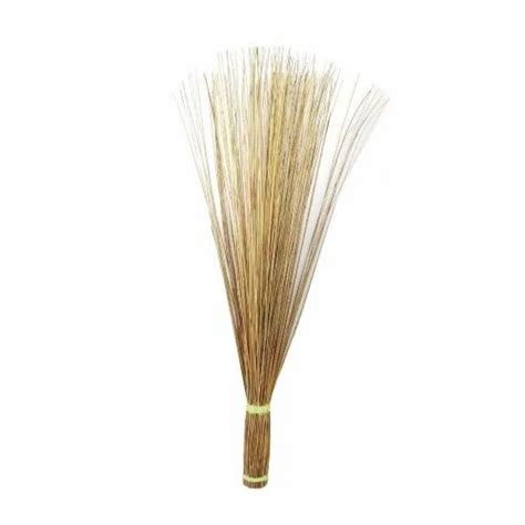 Coconut Brooms 65 To 70 Cm At Rs 98 Piece Coconut Broom In Midnapore