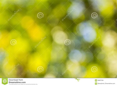 Natural Green Blurred Background Stock Photo Image Of Background