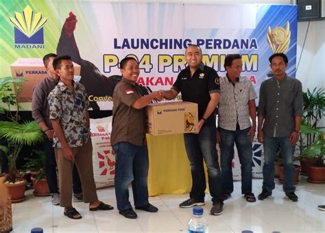 Perkasa Group Gelar Launching Perdana Pakan Ayam Aduan P 94 Premium