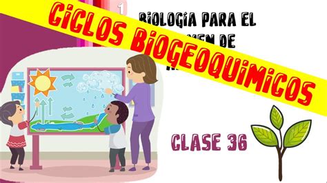 Clase Biolog A Ciclos Biogeoqu Micos Examen Ipn Curso Gratis