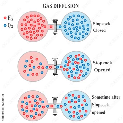 Gas Diffusion Phenomenon Of Oxygen And Hydrogen In Gaseous State In Experiment Container Tube