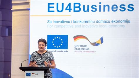 Impressive deliverables of the EU4Business project have been showcased ...
