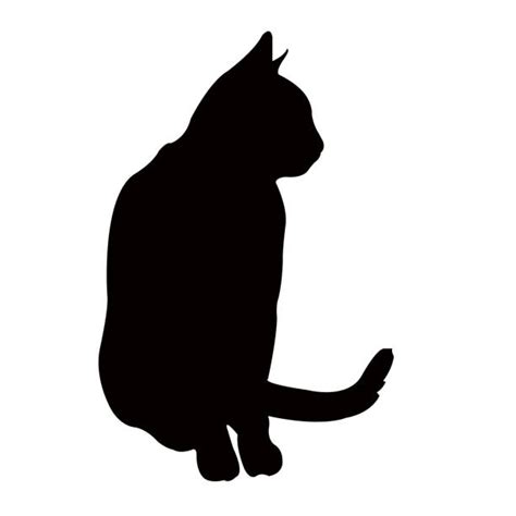 70 Cat Looking Behind Stock Illustrations Royalty Free Vector