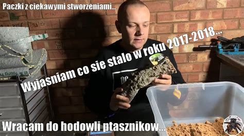 39 Wracam do hodowli ptaszników Co się stało w 2017 2018 roku