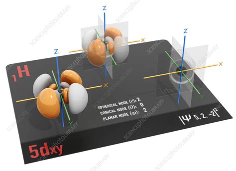 5dxy electron orbital, illustration - Stock Image - C059/6487 - Science ...