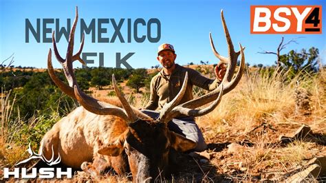 Bsy4 Giant New Mexico Bull Elk S4e22 Youtube