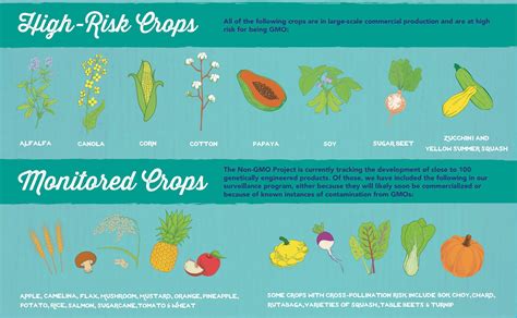 Food Labeling How To Identify Conventional Organic And Gmo