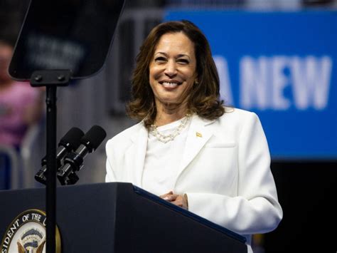 Kamala Harris Economic Strategy Unpacking Opportunity Economics And