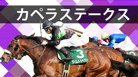 【カペラステークス2023予想】注目馬3頭過去の傾向から導くデータ解析 ウマダネ