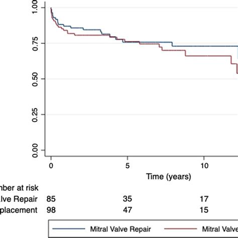 Kaplanmeier Survival Curves For Mitral Valve Repair Mvr Vs