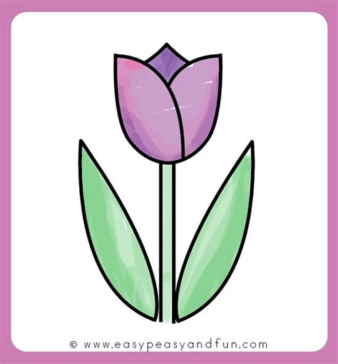 A Purple Tulip With Green Leaves On A White Background In A Pink Square