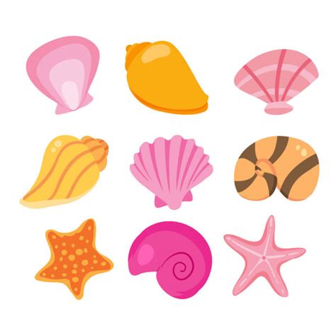 Seashells And Starfish Stock Vector Sibiryanka 10781304