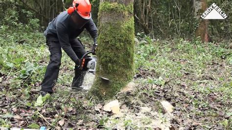 C Mo Talar Rboles Con Una Motosierra Leroy Merlin