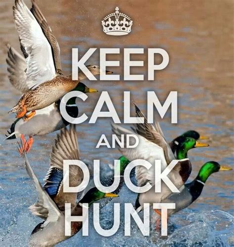 Duck Hunting Quotes And Sayings Quotesgram
