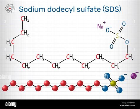 Sodium Dodecyl Sulfate Sds Banque D Images Vectorielles Alamy