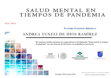 Salud Mental En Tiempos De Pandemia