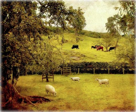 On The Farm By Vesna Armstrong