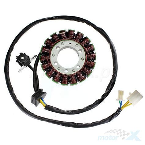 Stator Iskrownik Stojan Alternatora Electrosport ESG385 Motor X Pl