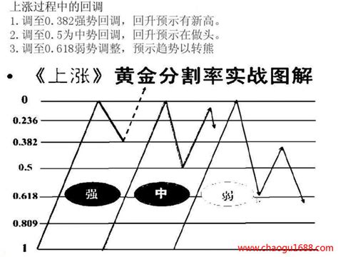 斐波那契回调线 股票黄金分割线 正确的使用方法附实战讲解 技术分析 炒股1688