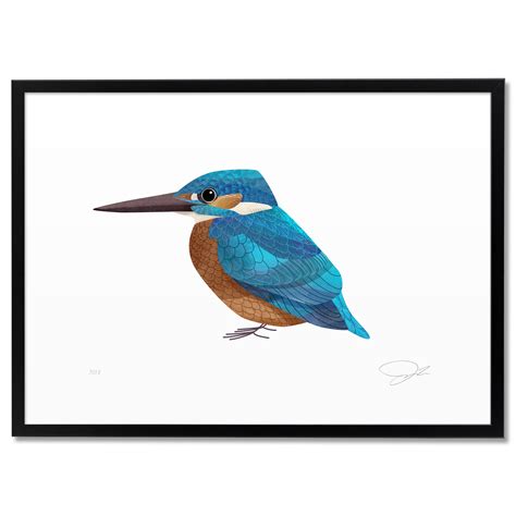 Kingfisher Bird Drawing | Free download on ClipArtMag