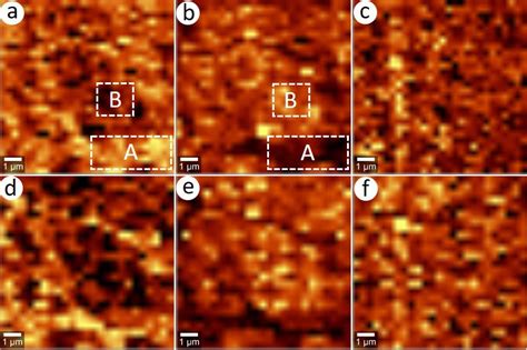 Raman Maps For Chalcopyrite Samples Leached In The Presence Of Ferric