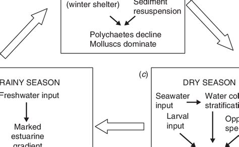 Conceptual Model Proposed To Explain The Benthic Macrofaunal Response