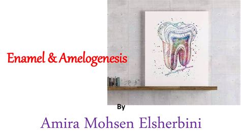 Enamel Amelogenesis Part Ppt