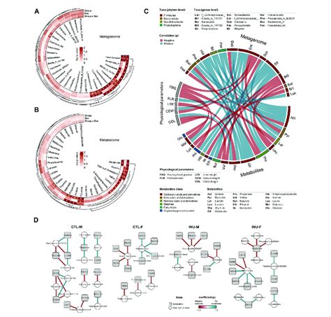 Inulin Differently Modulates Gut Microbiome Metabolome Interactions