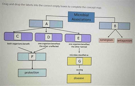 Solved Drag And Drop The Labels Into The Correct Empty Boxes To