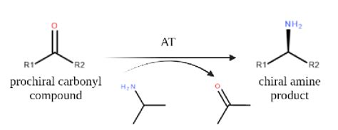 Asymmetric Synthesis Using Ats Download Scientific Diagram