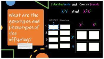 Sex Linked Pedigrees And Karyotypes Drag And Drop TpT