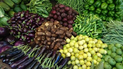 Malta Vegetable Images Free Download On Freepik