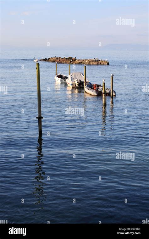 Moored Boats And Mooring Poles Looking Out Into The Forth Estuary Lower