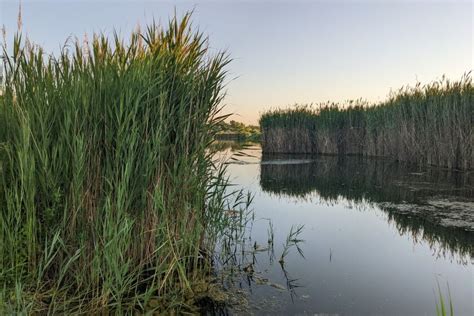 Disappearing at Mazonia on annual escape, rewarded with largemouth bass ...