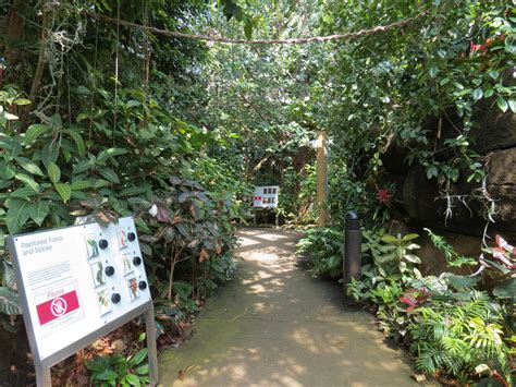Rainforest Trail Zoochat