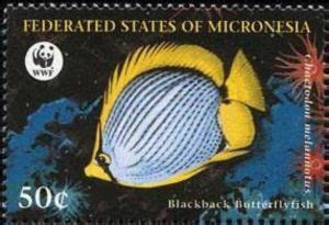 Stamp Blackback Butterflyfish Chaetodon Melannotus Micronesia