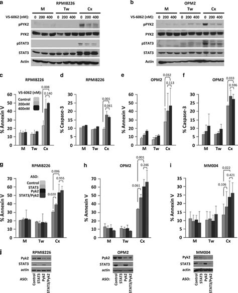 Pyk Inhibition Or Knockdown Induces Apoptosis In Myeloma Cells Adhered