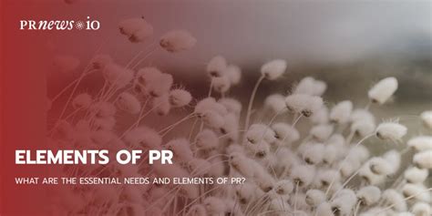 What Are the Essential Needs and Elements of PR?