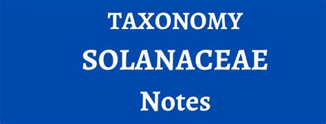 taxonomy solanaceae family