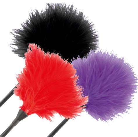 Sex Mischief Feather Tickler Display Assorted Colors Always Attract