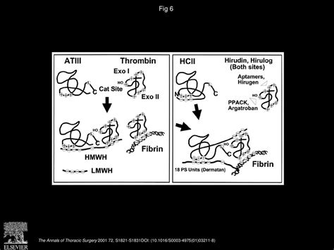 George J Despotis Md Michael S Avidan Md Charles W Hogue Md