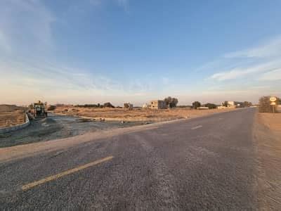 Residential Plots For Sale In Ajman Buy Residential Land In Ajman