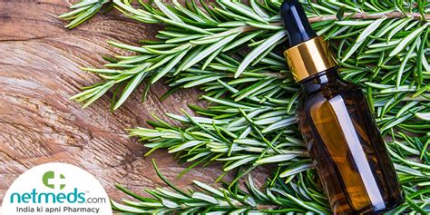 Rosemary Essential Oil Amazing Beauty Benefits Of This Aromatic Tincture