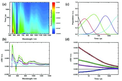 16 Transient Absorption Spectra Obtained Upon Femtosecond Laser Flash