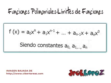 Funciones Polinomiales L Mites De Funciones Calculo Diferencial