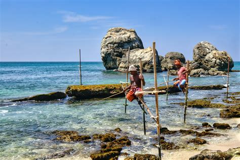 Men Holding on s Bamboo Pole While Fishing · Free Stock Photo