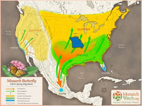 2022 2023 Overwintering Monarch Population Declines 22 Missourians